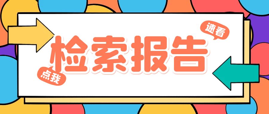 检索报告.jpg