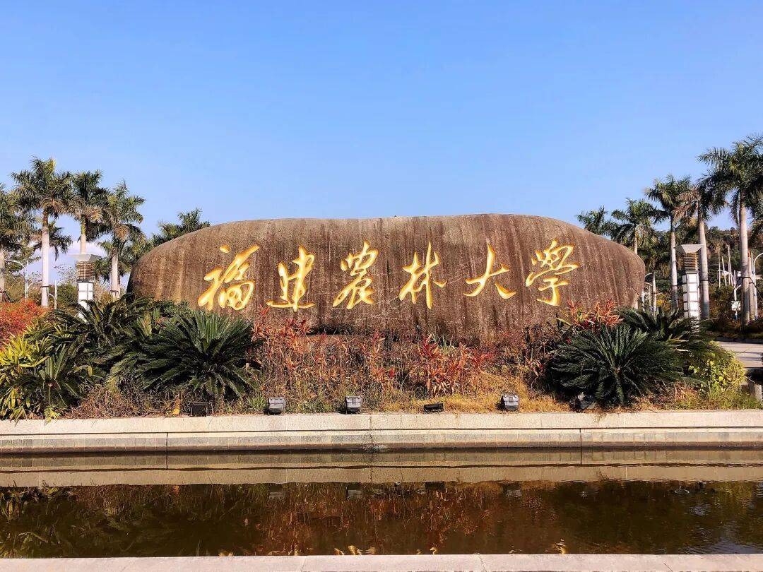 官网1.jpeg